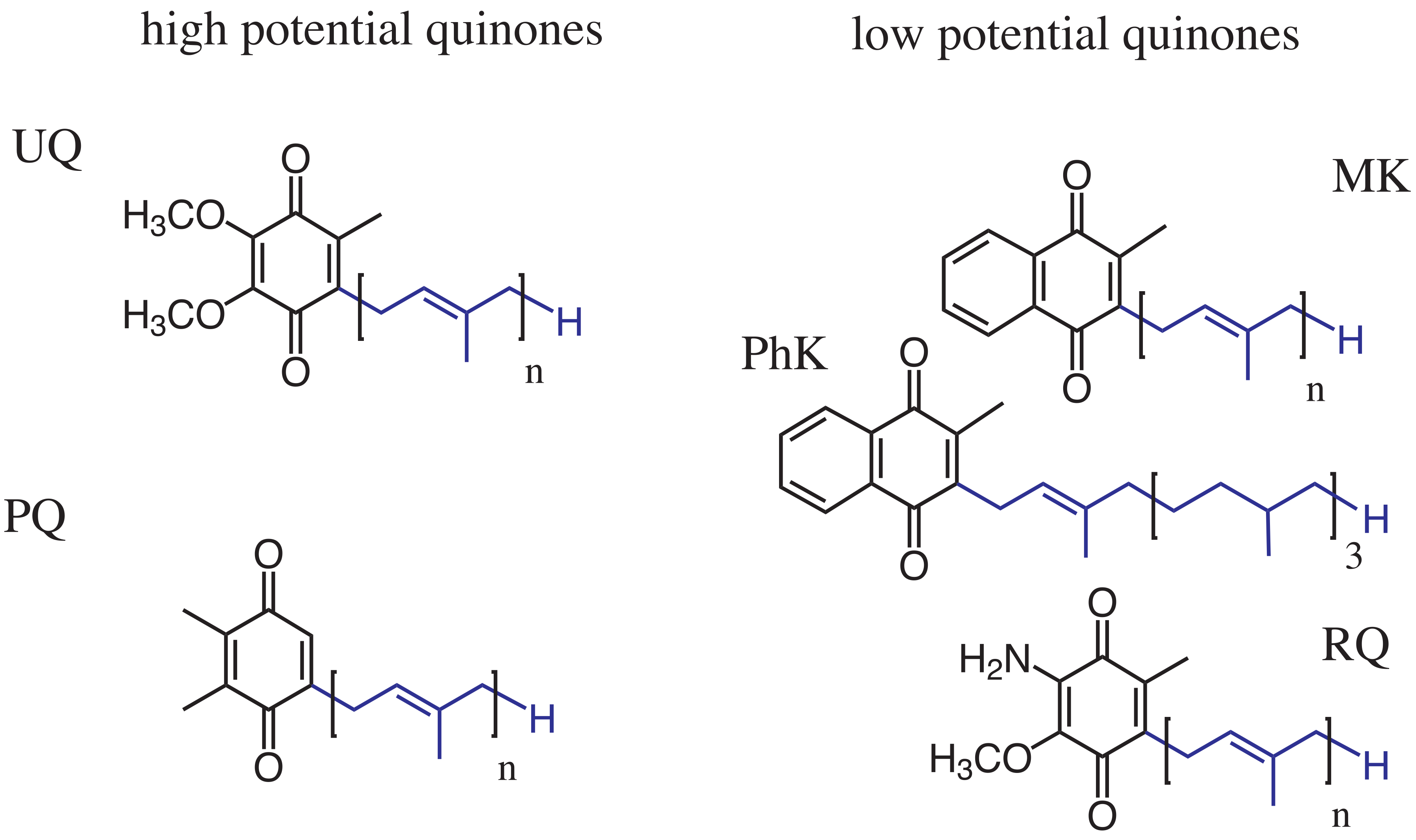 Quinone molecules